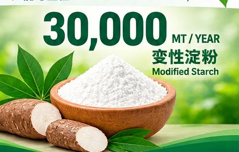 Modified starch powder with cassava pieces