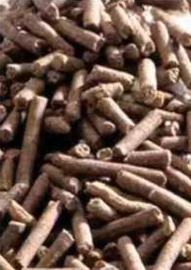 Coffee Grounds Cat Litter granules close-up